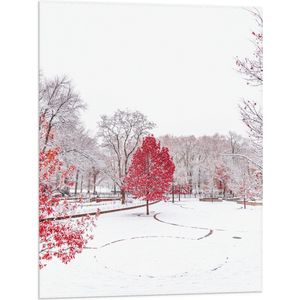 WallClassics - Vlag - Rode Boom in Witte Sneeuw - 60x80 cm Foto op Polyester Vlag