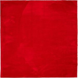 vidaXL-Vloerkleed-HUARTE-laagpolig-zacht-wasbaar-200x200-cm-rood