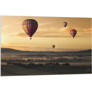 WallClassics - Vlag - Luchtballonen Zwevend boven Open Veld - 105x70 cm Foto op Polyester Vlag