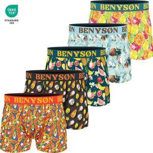 Boxershort Heren | 5 Pack | Viscose | Katoen | Maat L | Kleurrijke Fruit Print| Ondergoed Heren | Onderbroeken Heren