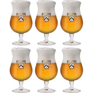 Alfa Bierglas Sommelier 250 ml - 6 Stuks