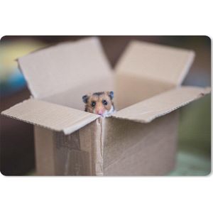 Bureau mat - Hamster komt tevoorschijn uit een kartonnen doos - 60x40