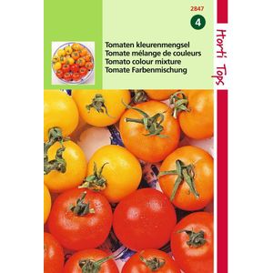 2 stuks - Hortitops - Tomaten Drie Kleuren Mengsel