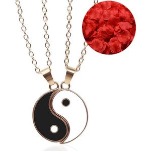Yin & Yang Ketting Set + Rozenblaadjes = Valentijn Cadeautje voor Hem en Haar - Valentijnsdag voor Mannen Cadeau Kadootjes