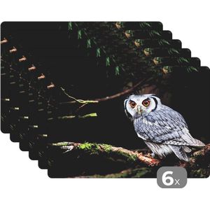 Placemat - Placemats kunststof - Uil - Vogel - Takken - Natuur - 45x30 cm - 6 stuks - Hittebestendig - Anti-Slip - Onderlegger - Afneembaar