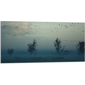 WallClassics - Vlag - Paarden in de Mist - 100x50 cm Foto op Polyester Vlag