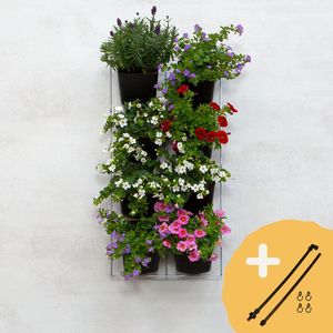 Mijn Verticale Tuin - Met Watersysteem - Voor Buiten - Compleet Startpakket (Small) 30cm x 60cm - 8 Bakjes - Plantenbak aan de muur - Groene wand - Groene muur - Verticale Moestuin - Balkonbak - Plantenmuur - Muurtuin