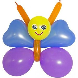 Doe het zelf ballon set vlinder