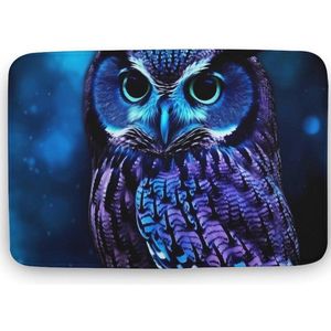 Blauwe Uil Deurmat Wasbaar - Antislip Welkomstmat voor Thuis en Terras - Grappige Keukentapijten 50 x 80 cm