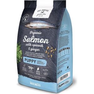 Go Native Grain Free Dog Puppy Salmon with Spinach & Ginger 4 kg - Hond