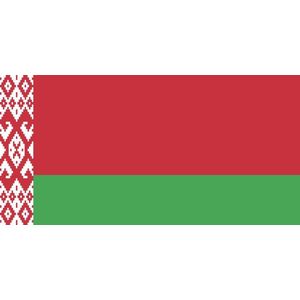 Vlag Wit Rusland - Officieel 50x75cm
