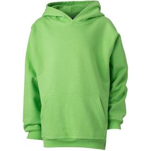James and Nicholson Kinderen/Kinderkapjes Sweatshirt (Kalk groen)