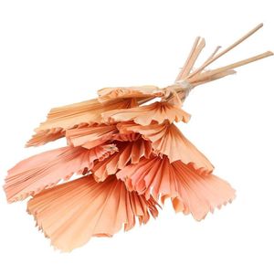 Lichtroos gedroogd Palmblad | Palm Speer droogbloemen | 10 stelen per bos | Lengte 50 centimeter | Per bos te bestellen