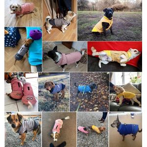 Winddichte hondenjas, winterwarm jack, anti-sneeuwpak hondenkleding voor kleine en middelgrote honden met harnasopening, blauw, roze, grijs.