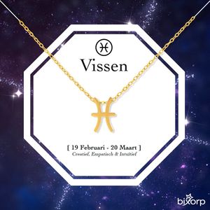 Bixorp Stars Sterrenbeeld Ketting Vissen / Pisces - Stainless Steel met Goud Verguld - 45cm Ketting met Zodiac Hanger - Inclusief Cadeau Verpakking