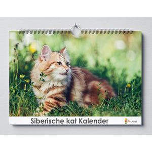 Siberische Kat verjaardagskalender | 35 X 24CM | Verjaardagskalender katten soort de Siberische kat | Verjaardagskalender Volwassenen