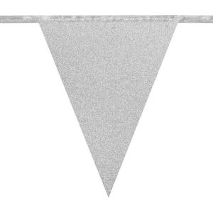 Vlaggenlijn Glitters - Zilver - 6 meter