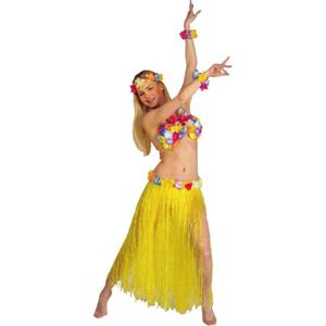 Carnaval / Hawaii set / rok / BH / ketting / armbanden / verkleedkleren / feest