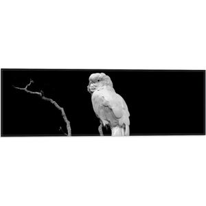 WallClassics - Vlag - Witte Papegaai op Tak van Boom (Zwart- wit) - 60x20 cm Foto op Polyester Vlag
