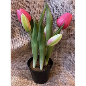 Kunstbloem in pot Tulp - Fuchsia - Real touch tulpen - 27 cm - Boeket - Kunstbloemen in zwart potje - Kunst bloem - Sally tulp - Interieur - Sfeer - Voorjaar - Pasen - Paasdecoratie - Bloemen - Moederdag - Oma - Decoratief - Deco - Decoratie - Luxe