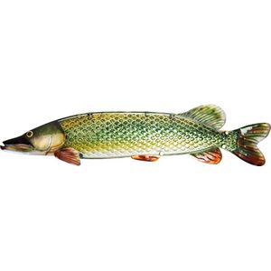 Eurocatch Snoek - Muurdecoratie 90cm - 3-D Metaal en Glas Kunst - Cadeau Idee - Mancave