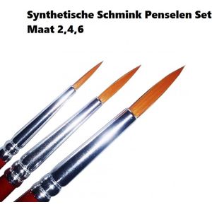 Superstar Synthetische Schmink Penselen Set maat 2,4,6 - Schmink verjaardag thema feest festival fun