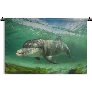 Wandkleed Zeedieren - Onderwaterfoto van een dolfijn Wandkleed katoen 150x100 cm - Wandtapijt met foto