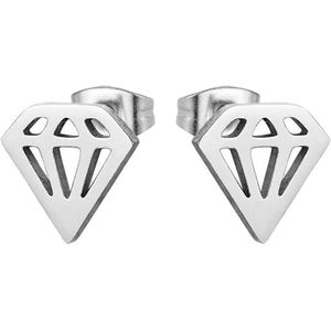 Fako Bijoux® - Oorbellen - Steker - RVS - Stainless Steel - Diamant
