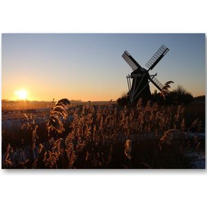 Molen in de zon - Foto op Plexiglas 60x40