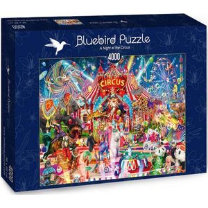 Aimee Stewart - Een avond in het circus (4000 stukjes, kunst puzzel)