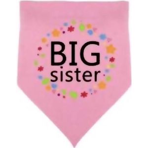 Honden bandana Big Sister roze met zwarte tekst, bloemetjes en hartjes - hond - babyshower - genderreveal -nhuisdier - bandana - big sister