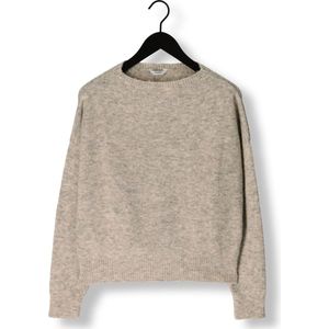 Penn & Ink W23l213 Truien & vesten Dames - Sweater - Hoodie - Vest- Taupe - Maat XL