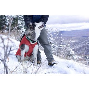 Thermo Warme Jas voor Honden - Reversible, Waterafstotend & Wasbaar - Kurgo Loft Jacket - in 4 kleuren in maten XS tot XL - Maat: Rood/Grijs, Kleur: Medium