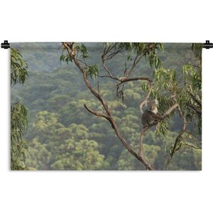 Wandkleed Vogelperspectief Australië - Koala in de boom in het bos Wandkleed katoen 150x100 cm - Wandtapijt met foto
