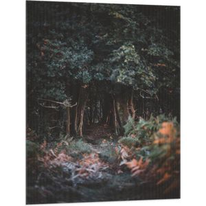 WallClassics - Vlag - Donker Groen Bos - 75x100 cm Foto op Polyester Vlag
