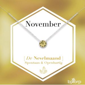 Bixorp Geboortesteen Ketting November - Zilverkleurig Roestvrij Staal met Zirkonia Hanger - Stainless Steel - Citrien