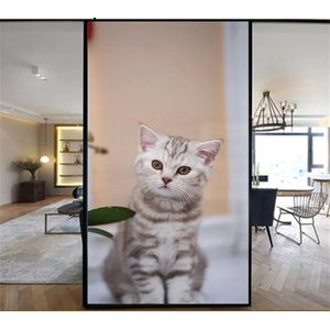 Raamfolie kitten - poes - kat - 60 x 120 cm