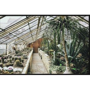 Botanical Stories 013