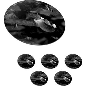Onderzetters voor glazen - Rond - Kolibrie tussen de roze bloemen en vlinders - zwart wit - 10x10 cm - Glasonderzetters - 6 stuks