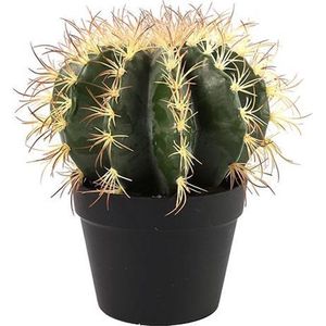 Cactus - groen - L18xB18xH30CM - Kunstplant
