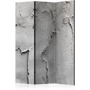 Kamerscherm - Scheidingswand - Vouwscherm - Concrete nothingness [Room Dividers] 135x172 - Artgeist Vouwscherm