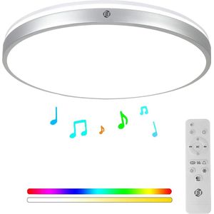 Equivera Plafonaire Lamp - Lamp - Plafond Lamp - Plafonnaire Lamp - Plafondlamp