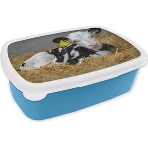 Broodtrommel Blauw - Lunchbox - Brooddoos - Koe - Stro - Kalf - Dier - 18x12x6 cm - Kinderen - Jongen