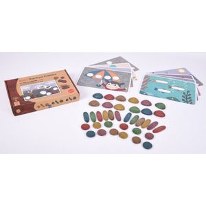 EDX - Regenboog kiezels (Rainbow Pebbles) Biologisch afbreekbaar - (36 stuks)