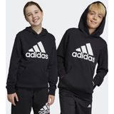 adidas Sportswear Big Logo Essentials Katoenen Hoodie - Kinderen - Zwart- 152