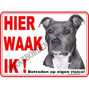 Amerikaanse Stafford 105...20x30cm..Hier waak ik!