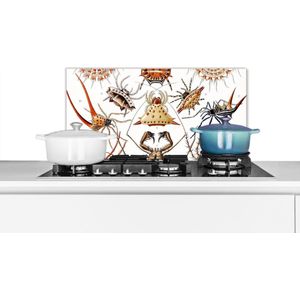 Spatscherm keuken 60x30 cm - Kookplaat achterwand Retro - Spin - Ernst Haeckel - Spinnen - Muurbeschermer - Spatwand fornuis - Hoogwaardig aluminium