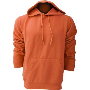 Russell Kleuren Heren Hooded Sweatshirt / Hoodie (Hemelsblauw)