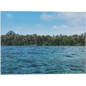 WallClassics - Vlag - Meer langs Bosrand - 40x30 cm Foto op Polyester Vlag