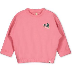 The New Chapter Unisex New born Sweaters D307-0332 maat 110